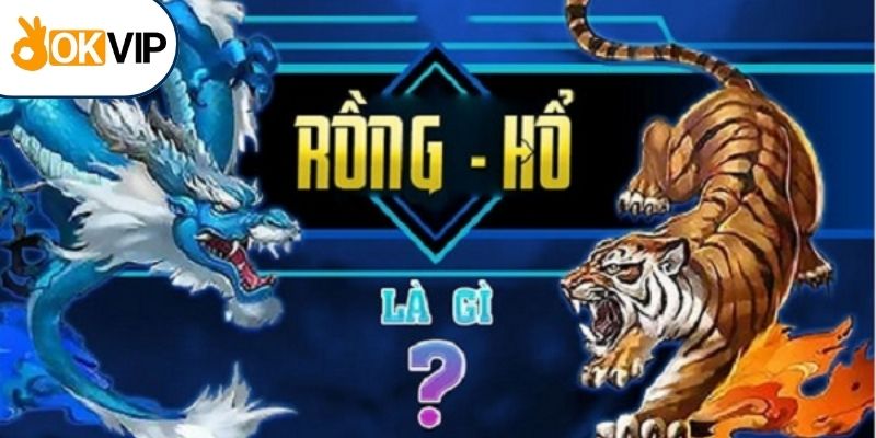 Thử sức cùng Rồng Hổ tại sảnh Evolution